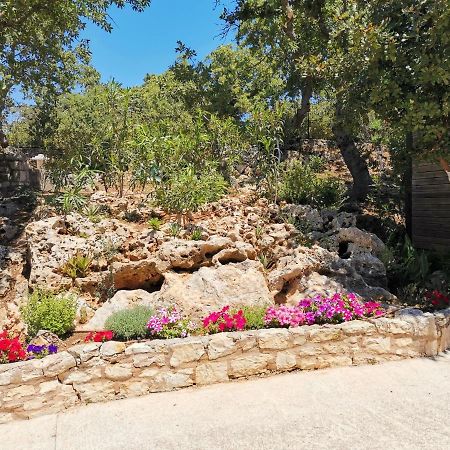 Villa Ermis - The Cretan Castello Kástellos Exterior foto